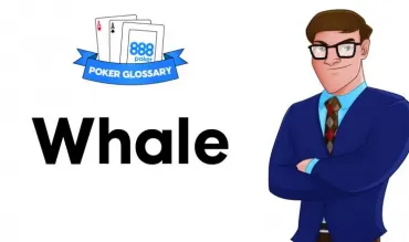 Ce reprezintă Whale în poker?